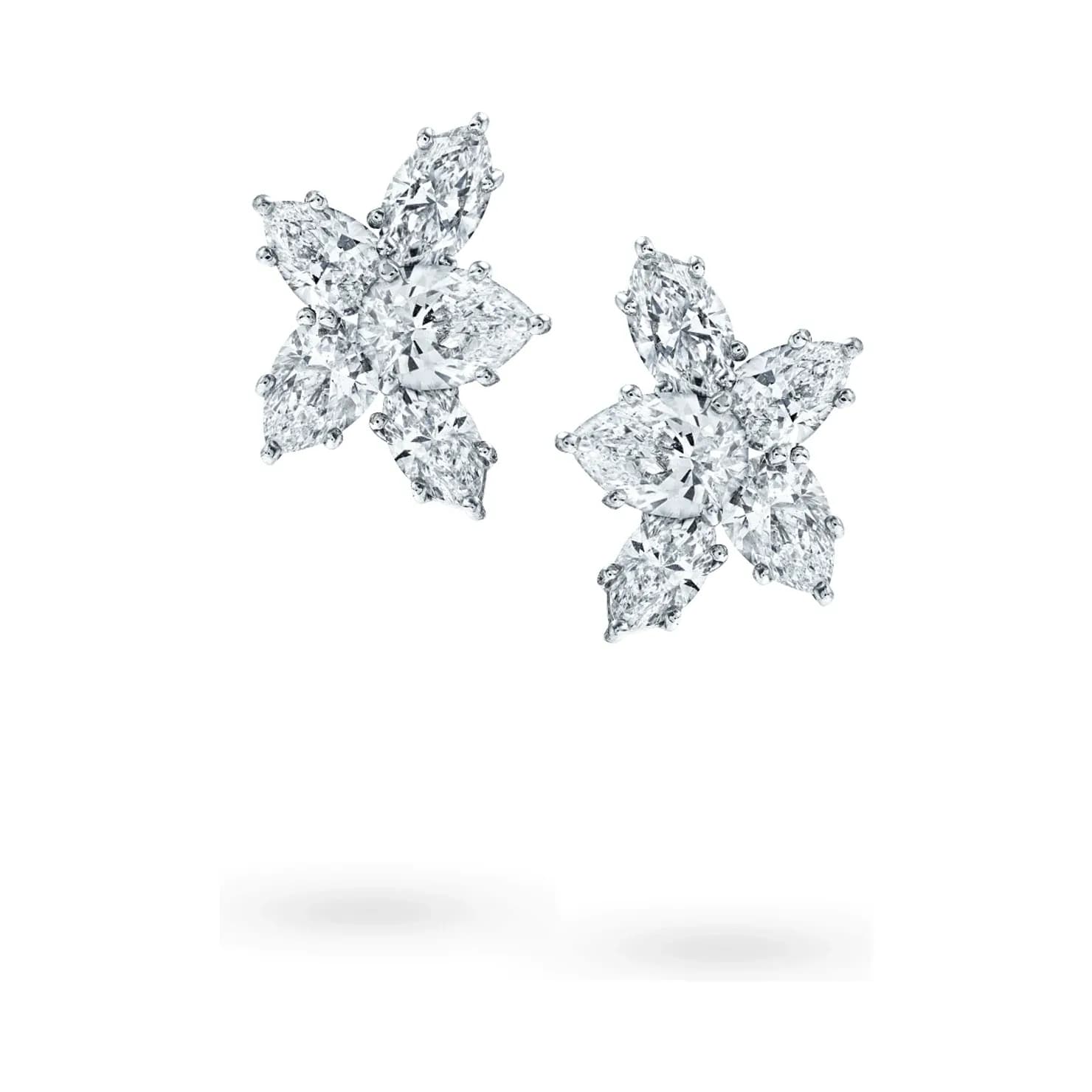 Winston Cluster